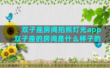 双子座房间拍照灯光app 双子座的房间是什么样子的